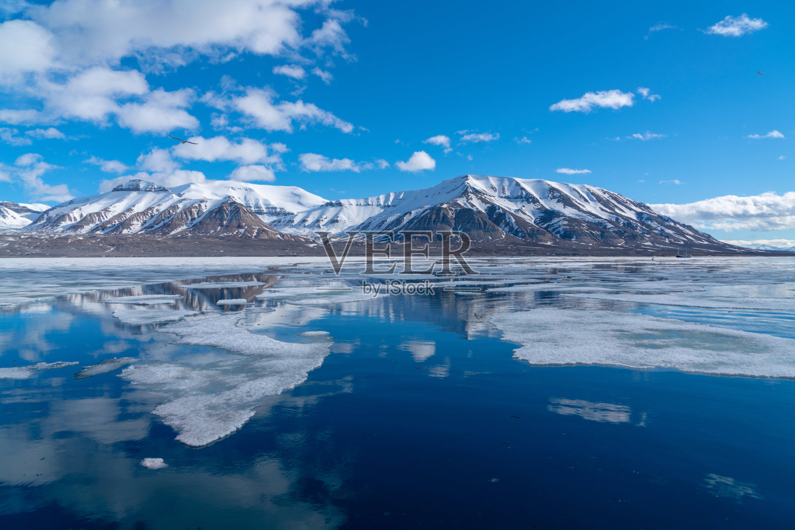 南斯匹次卑尔根岛的北极。在霍恩松德峡湾附近。照片摄影图片
