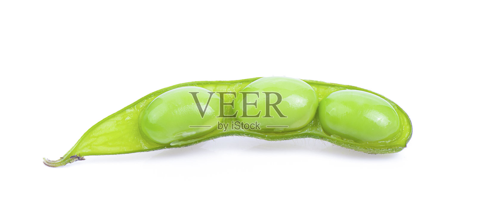 在白色背景下分离的大豆照片摄影图片