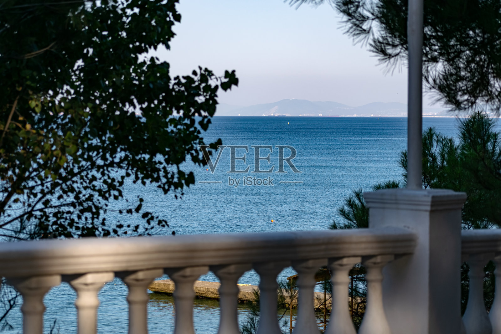 透过常绿的针叶树、松树和各种各样的黑海和晴朗的天空照片摄影图片