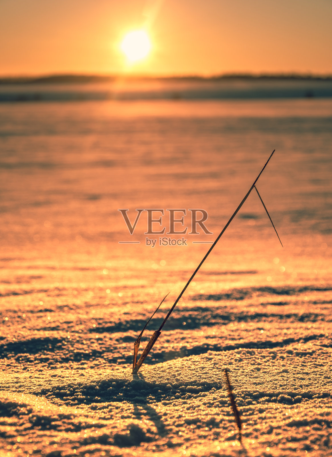 字段在冬天照片摄影图片