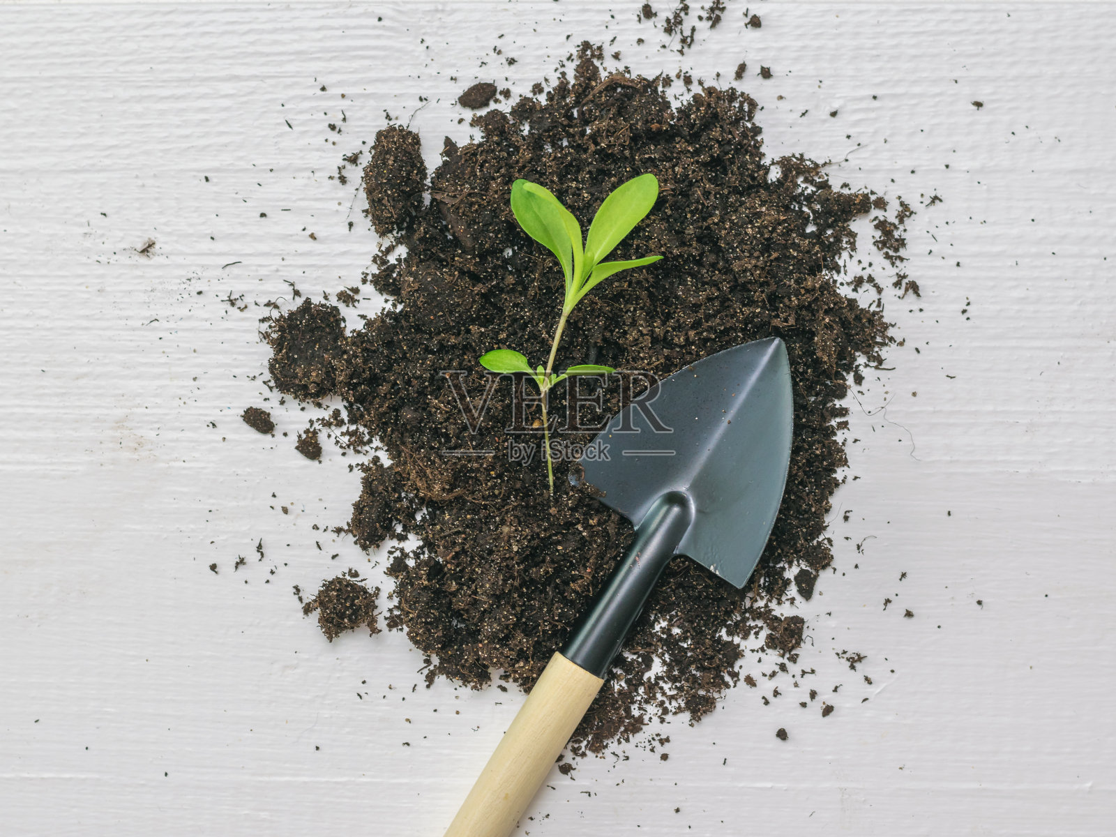 在木质的背景上放着土壤、一棵幼苗和一把铲子。照片摄影图片