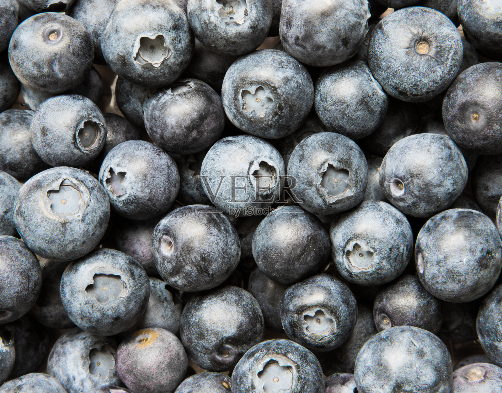 新鲜的蓝莓照片摄影图片