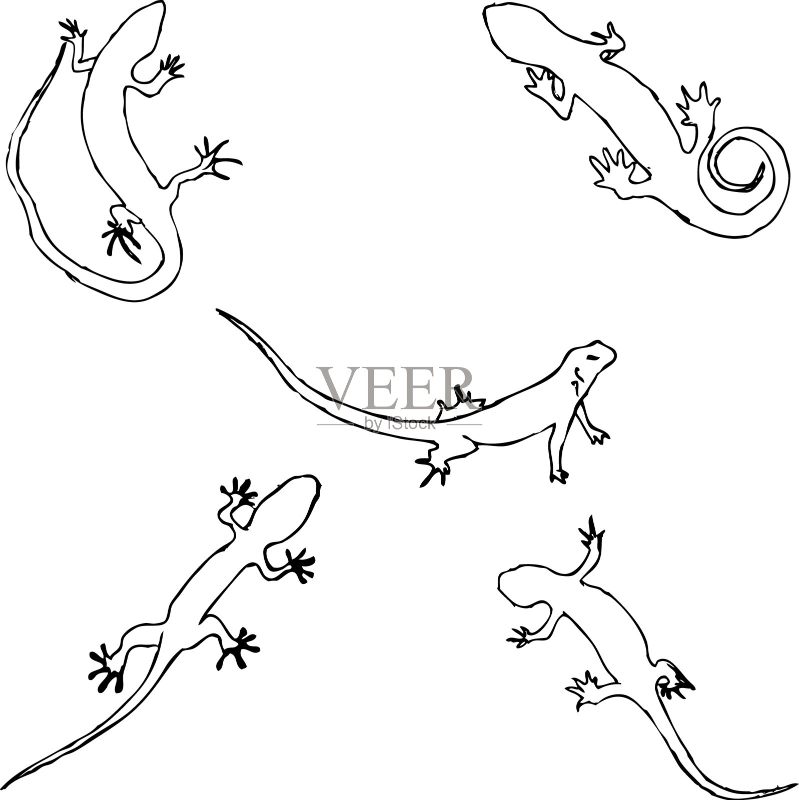 用铅笔手绘蜥蜴素描设计元素图片