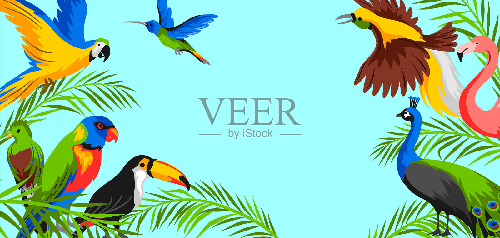 背景与热带珍奇鸟类插画图片素材