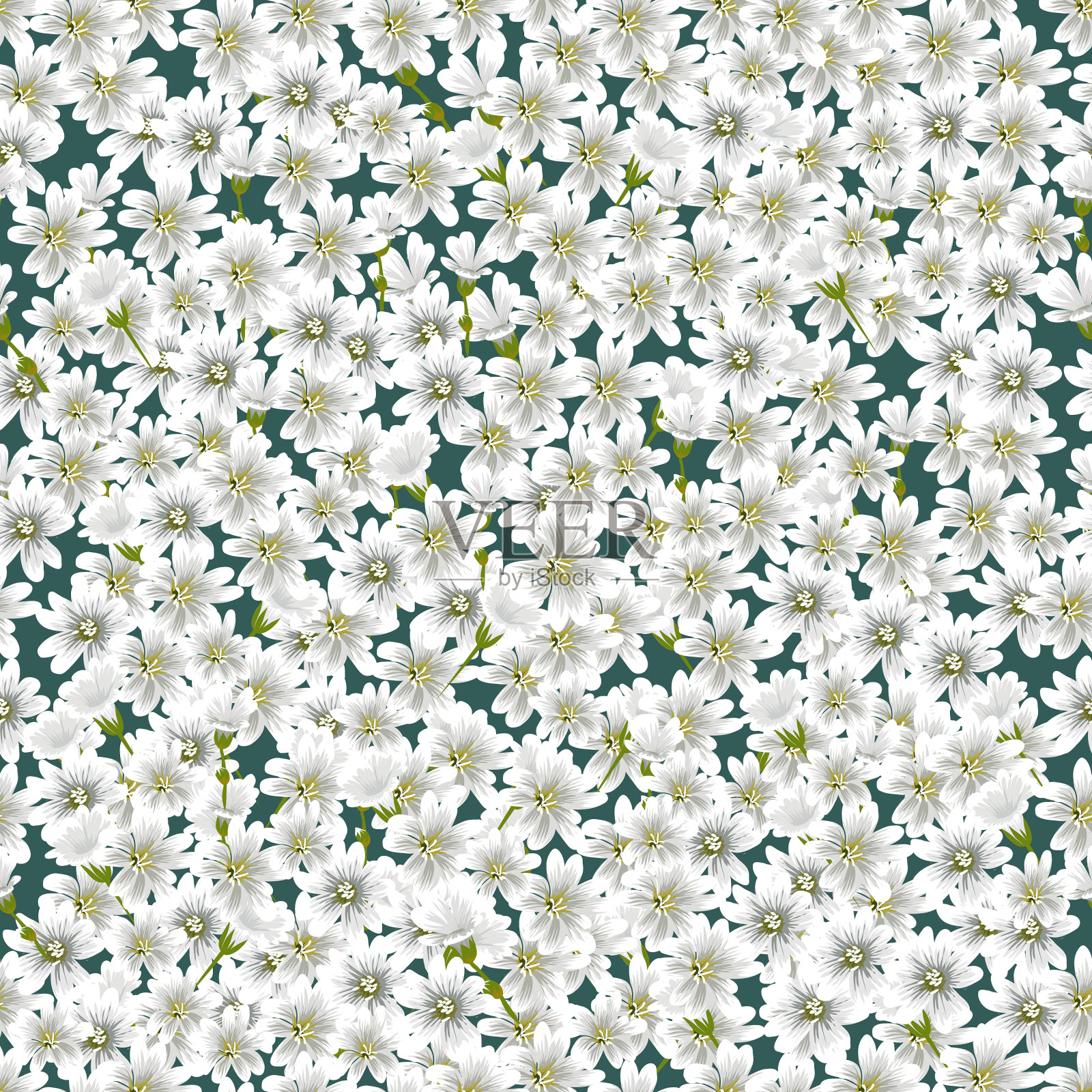 花和叶子在一个黑暗的背景插画图片素材