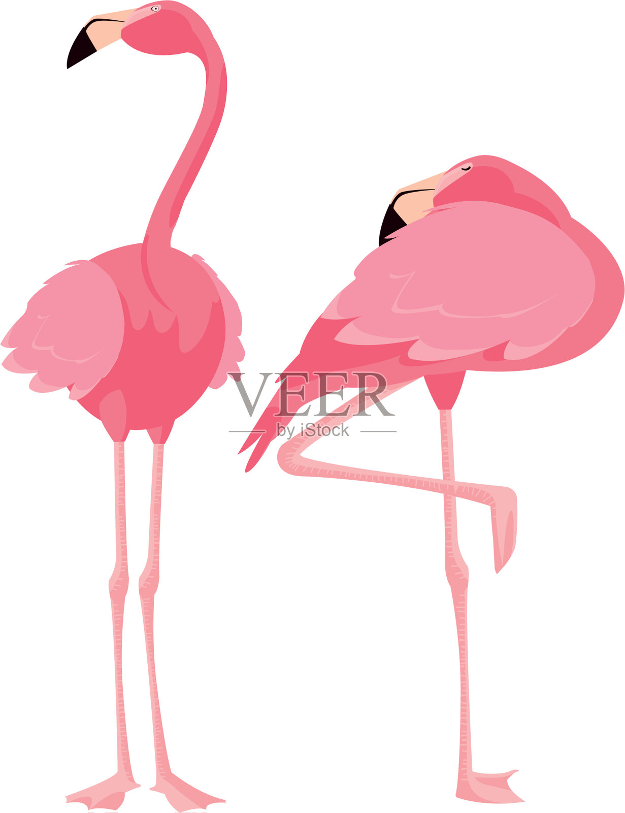优雅的火烈鸟夫妇设计元素图片