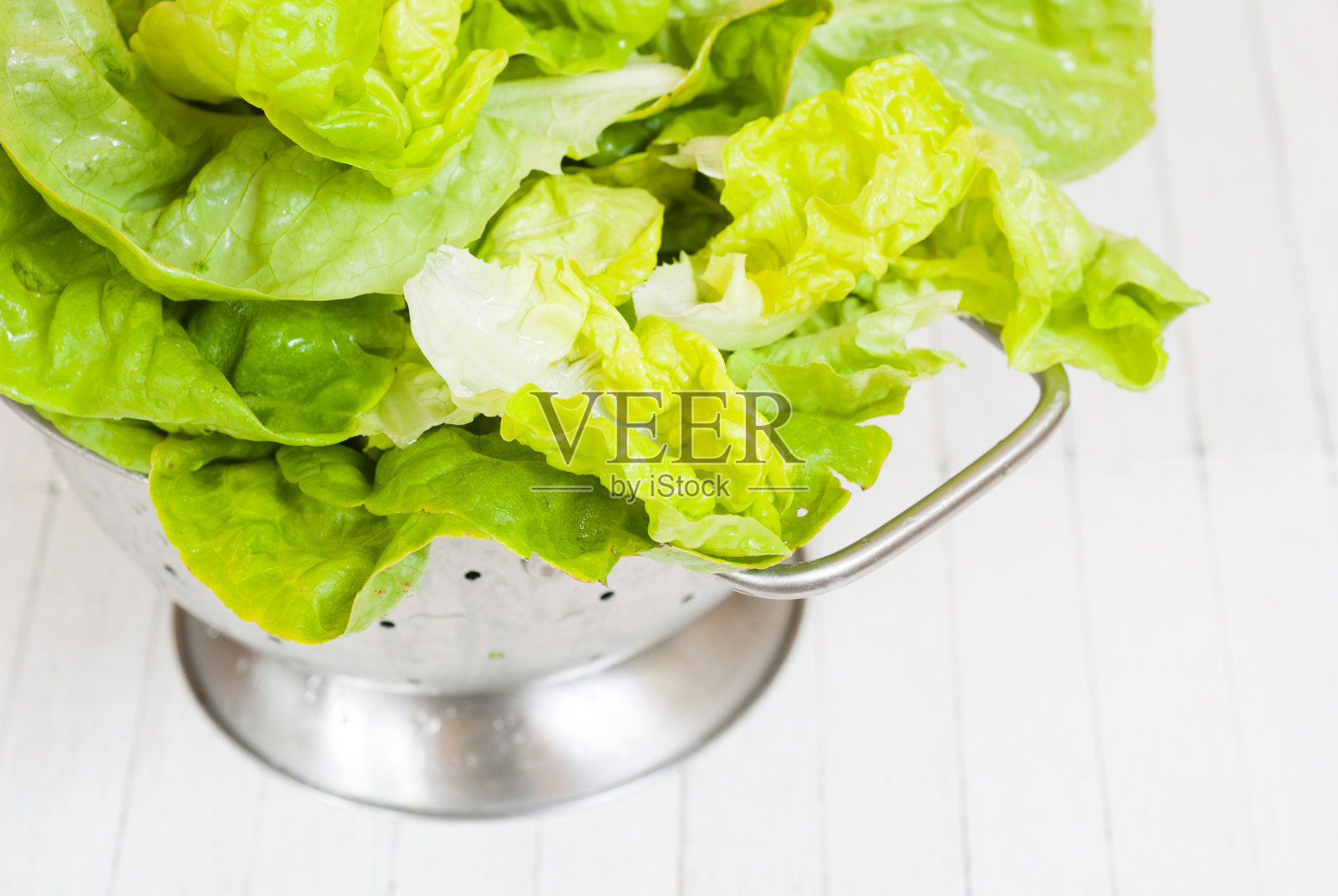 生菜照片摄影图片