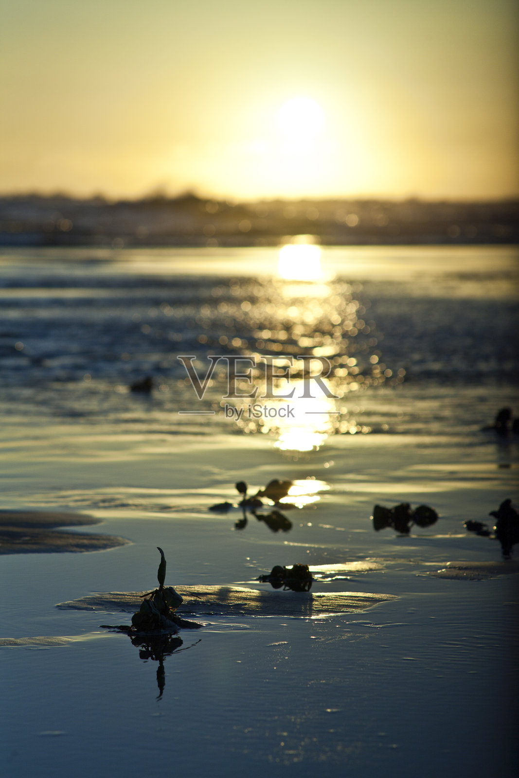 日出反射照片摄影图片