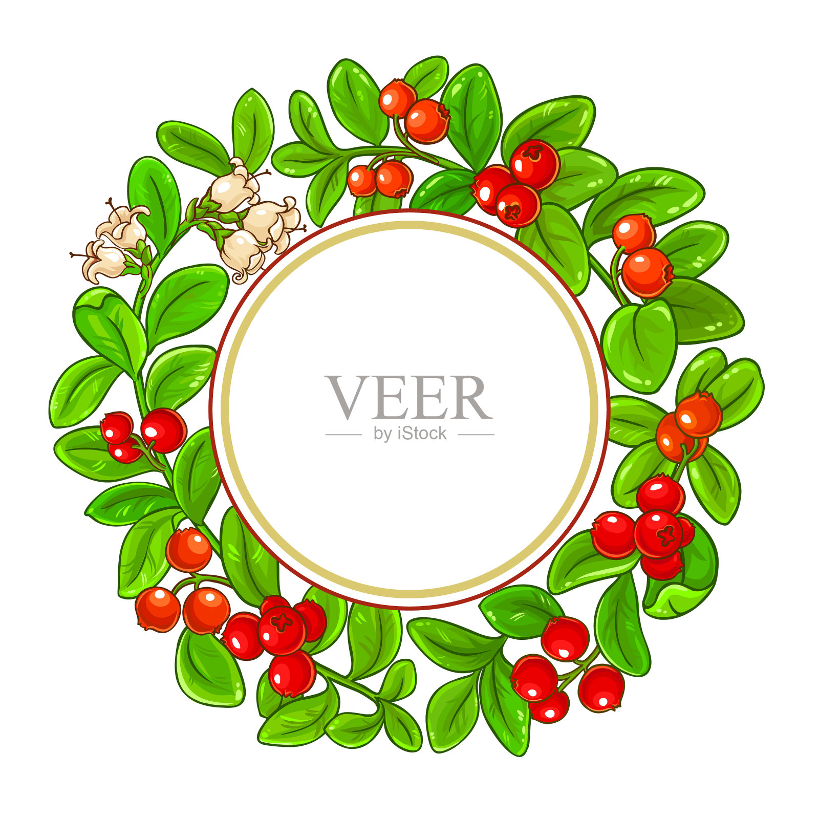 越橘分支机构框架设计元素图片