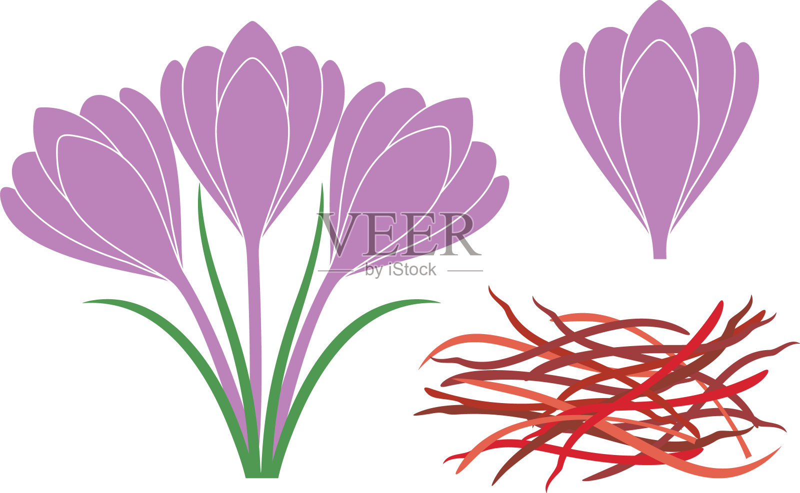 藏红花设计元素图片