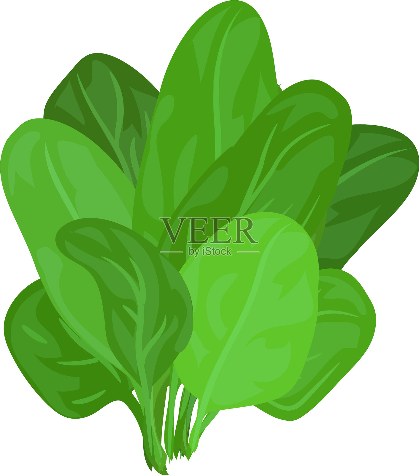 菠菜叶图标卡通风格设计元素图片