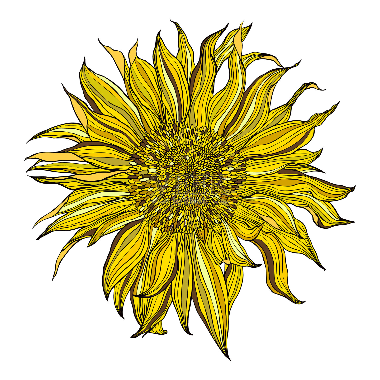 手绘盛开的向日葵设计元素图片