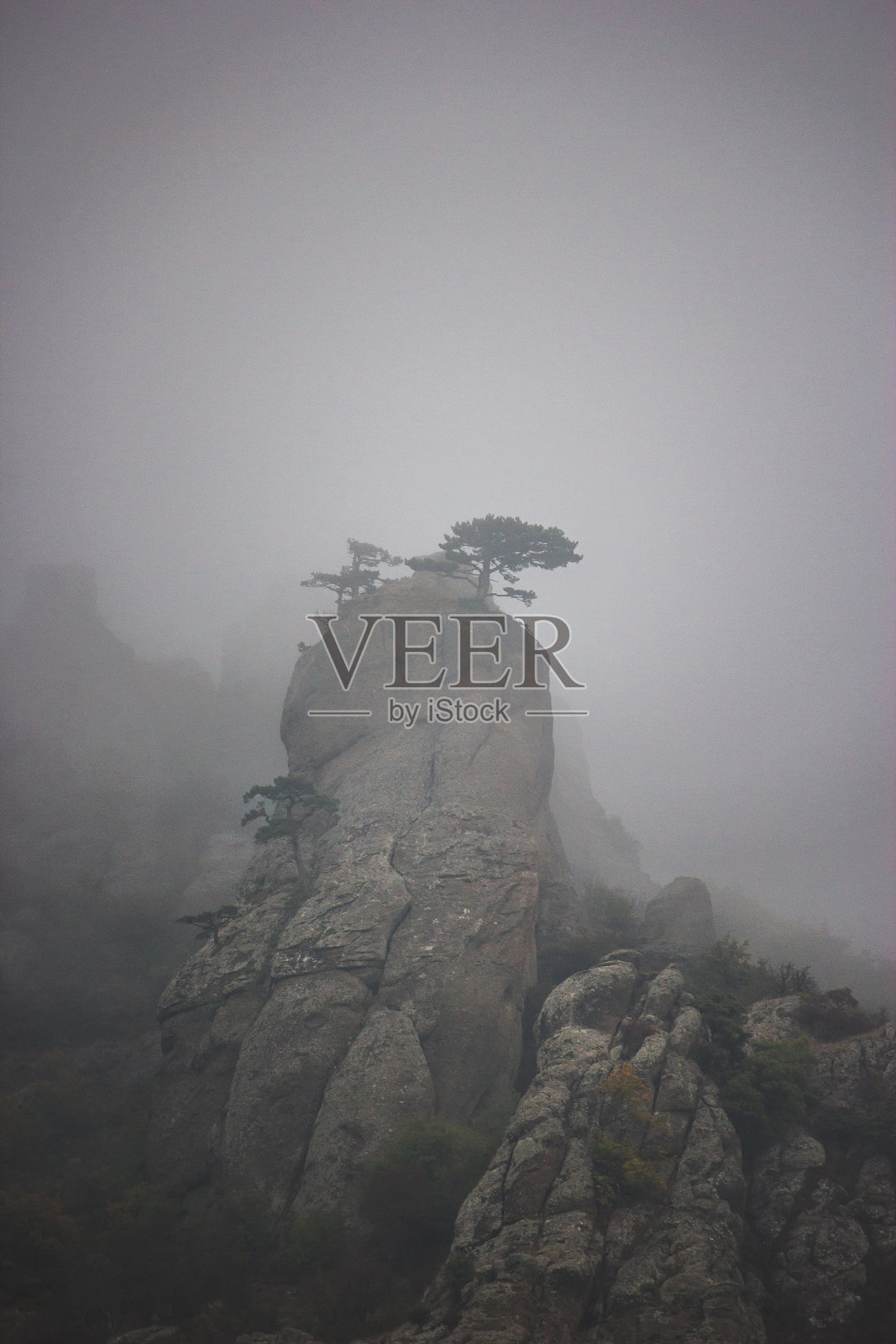 俄罗斯克里米亚朦胧的德默尔吉山幽谷。与雾山。旅游目的地。一棵树从低云的岩石中长出来照片摄影图片