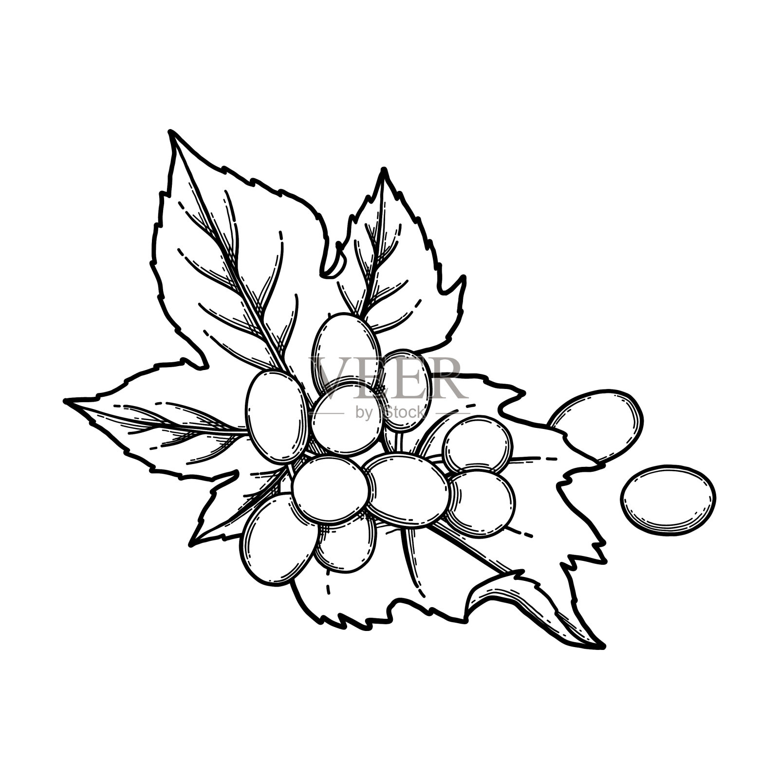 一串串葡萄挂在树枝上设计元素图片