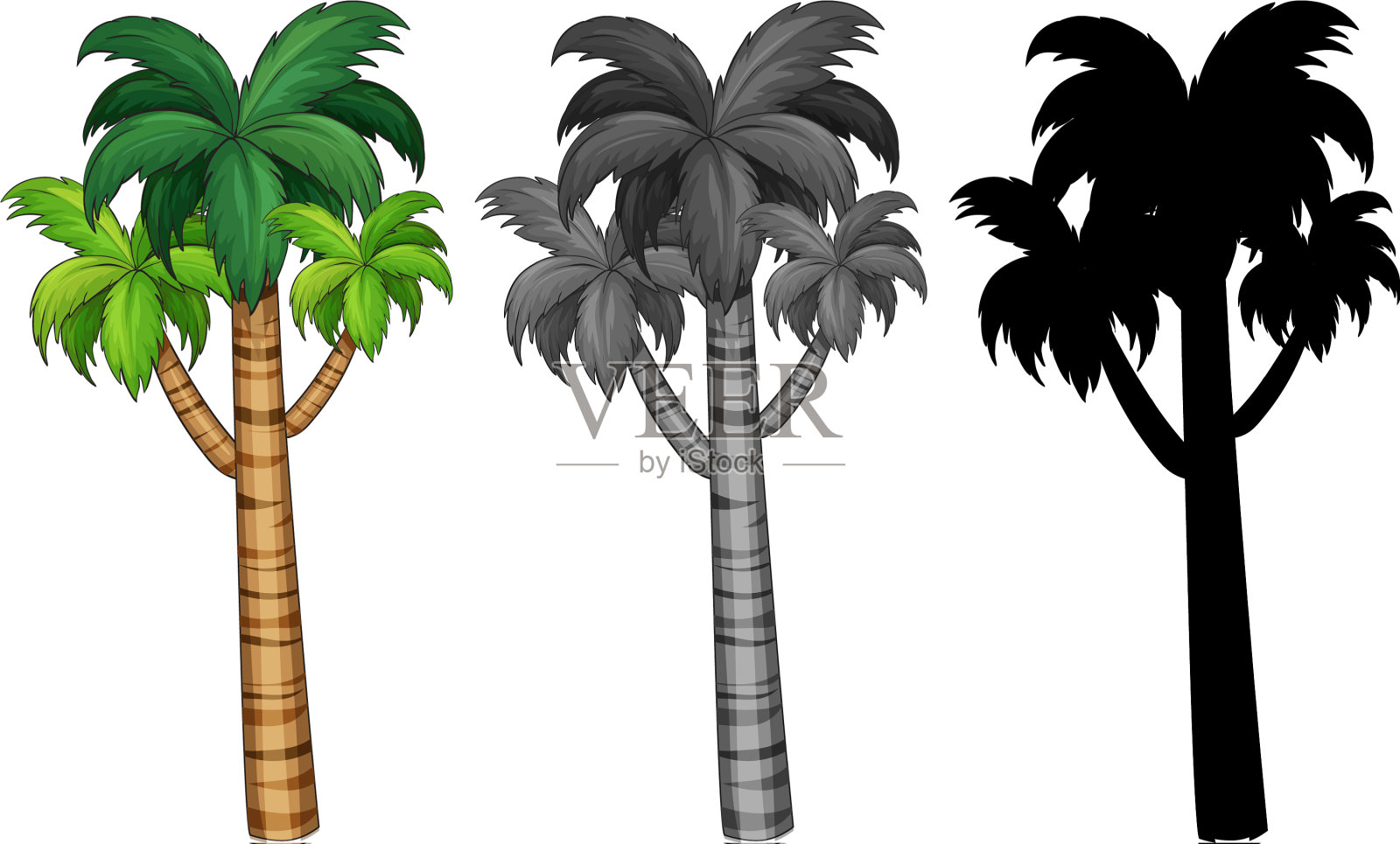 一套棕榈树设计元素图片