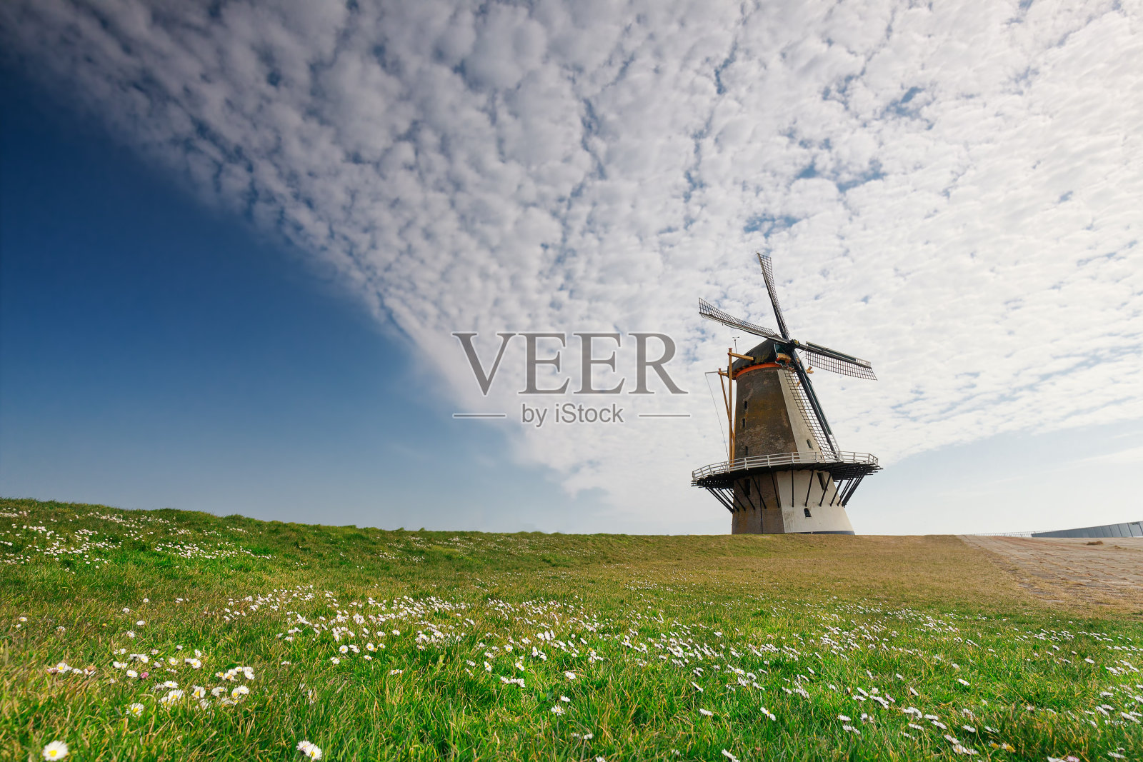 迷人的风车越过蓝天，在绿色的草地上照片摄影图片