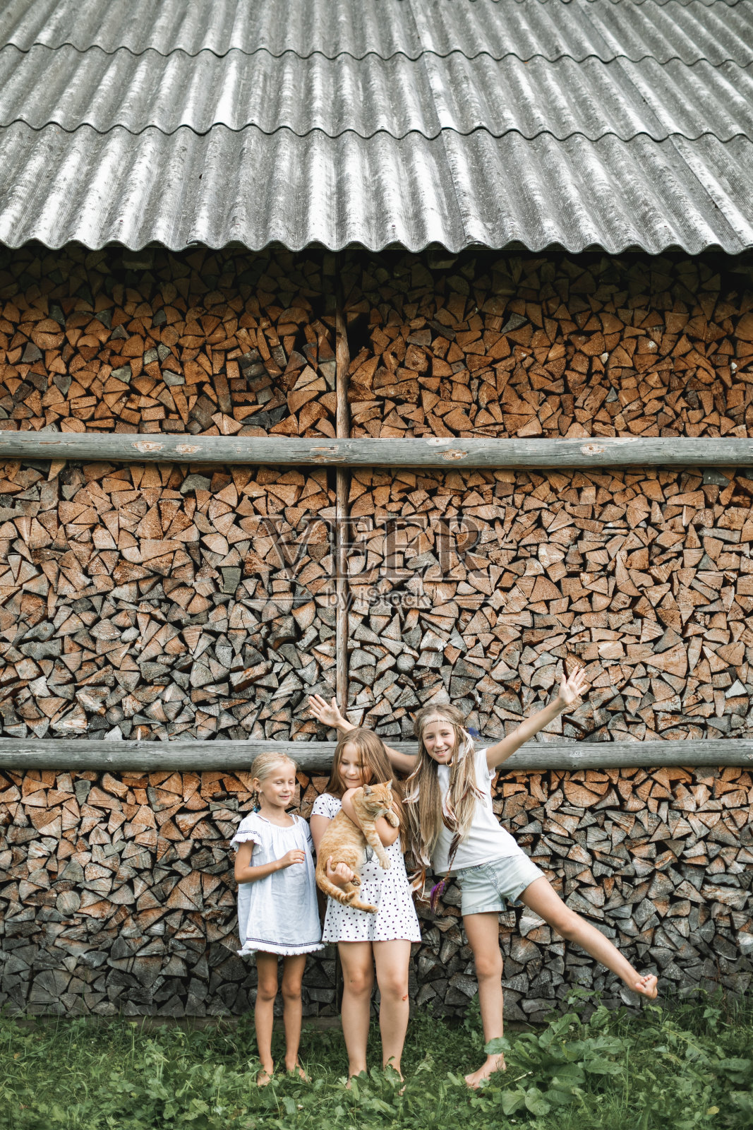 三个小女孩在一起玩，一个女孩怀里抱着一只猫，在夏日的户外，背景是干枯的劈柴。可爱的孩子和宠物红猫玩。孩子和动物照片摄影图片