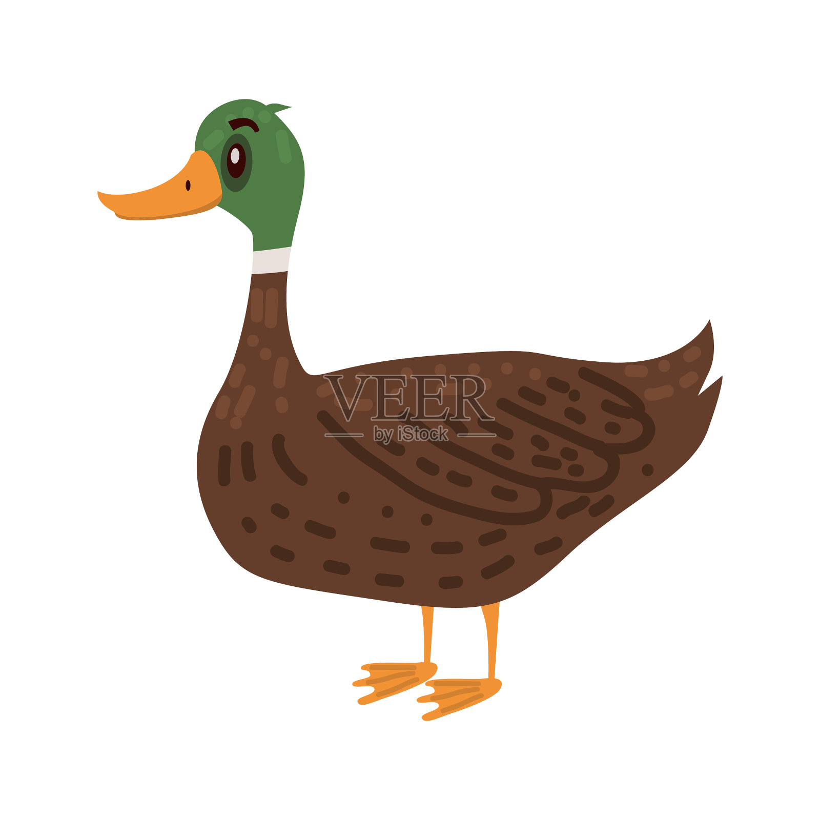 可爱的鸭子动物鸟流行卡通风格设计元素图片