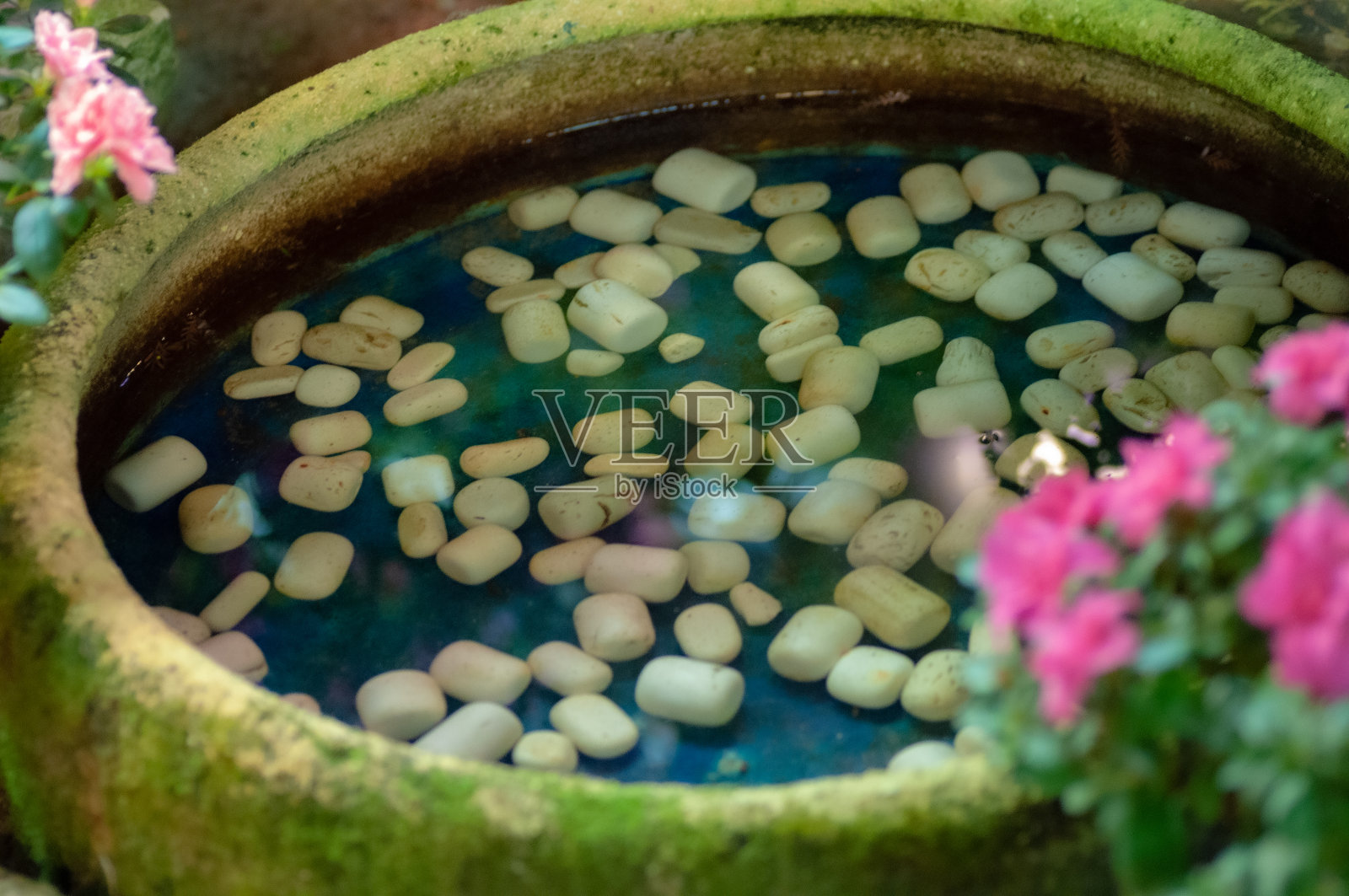 白色的石头和蓝色的底部小水池的形象。正面有粉红色的花照片摄影图片