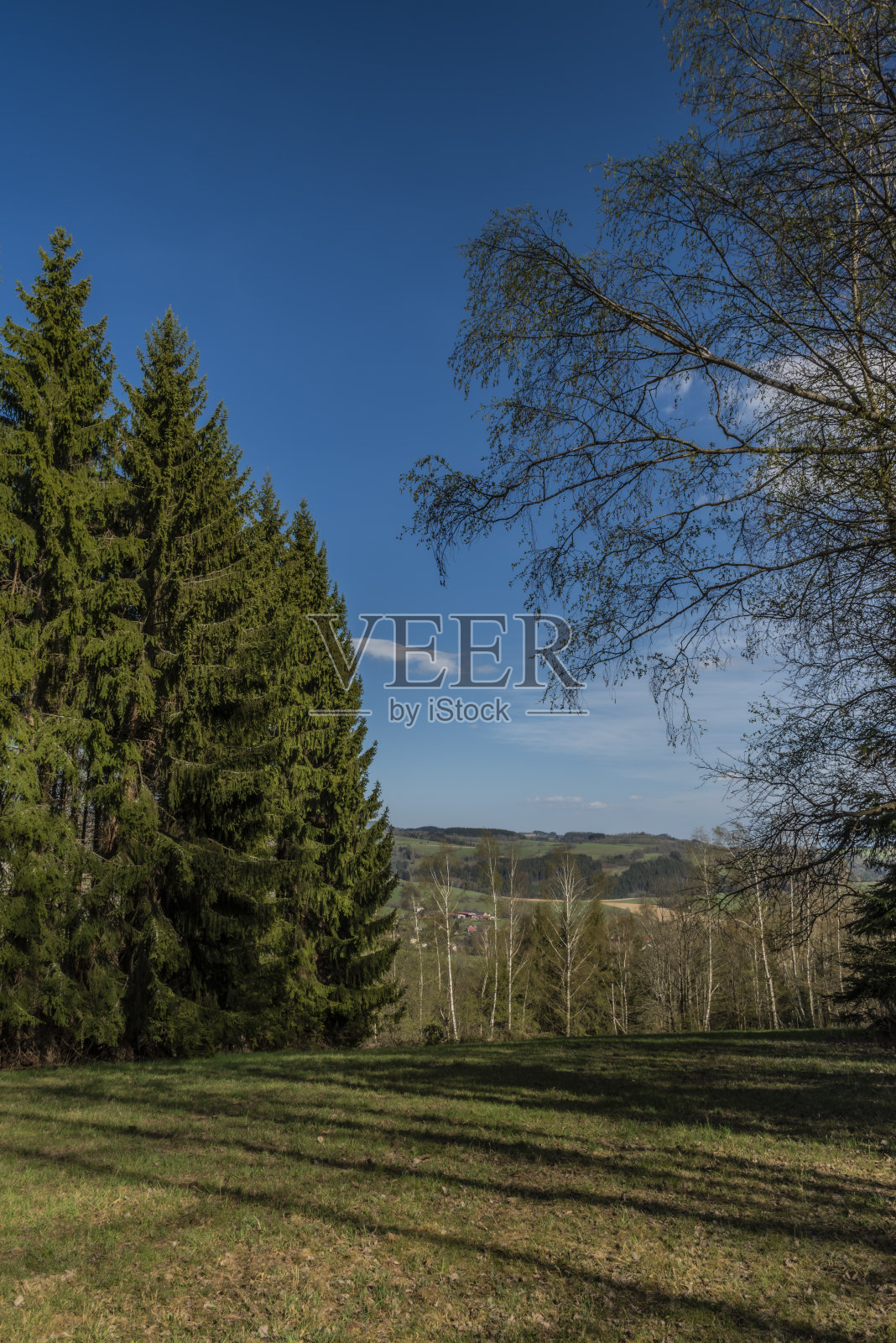 春天美好的一天，克科诺斯山附近的草地和森林照片摄影图片