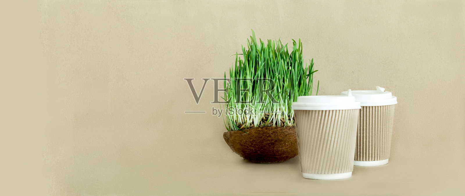 饮料在一次性纸杯和发芽的种子燕麦或绿色草椰碗。有机产品的概念照片摄影图片