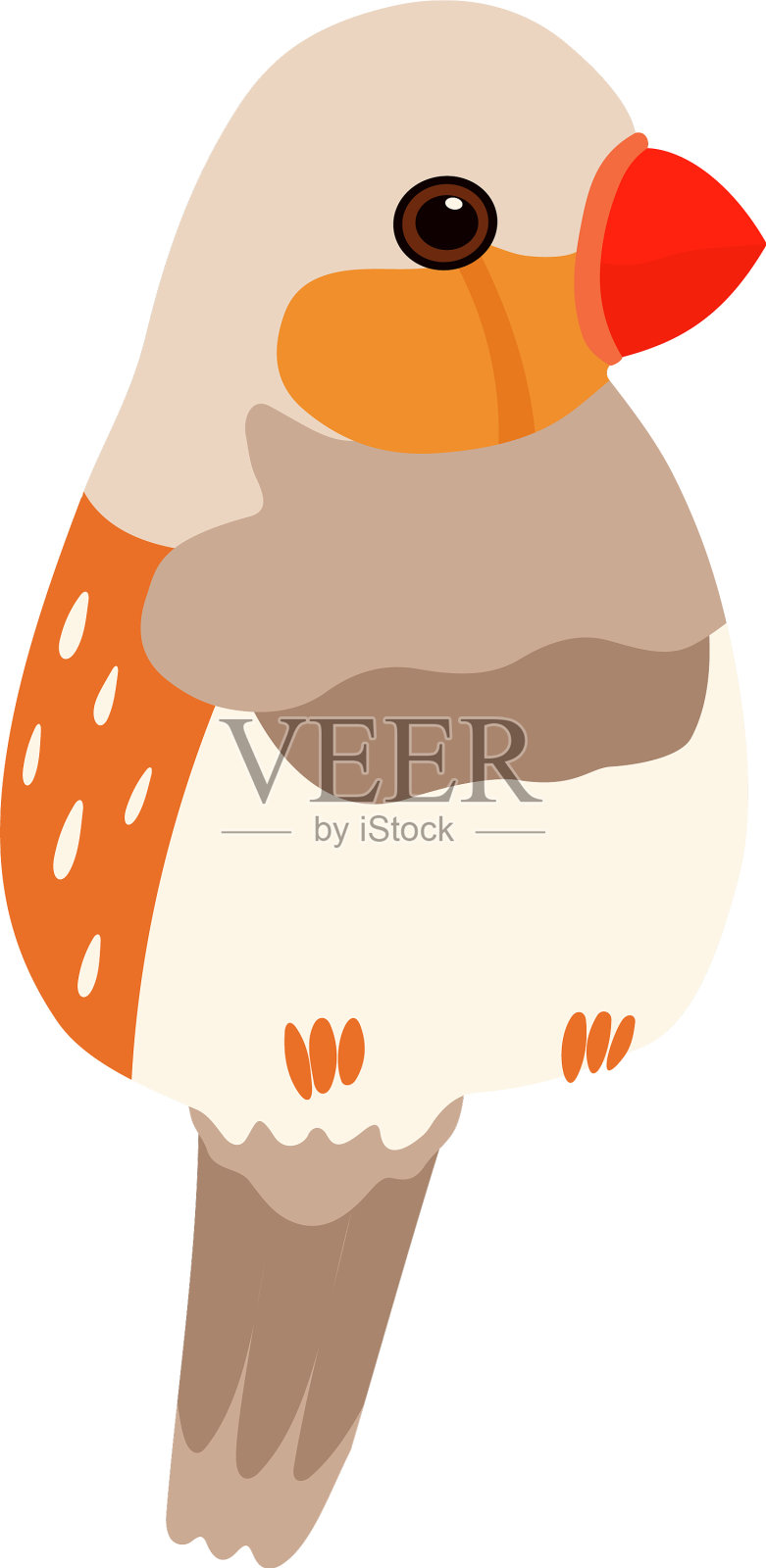 小鹦鹉，可爱的小鸟，家里的宠物设计元素图片