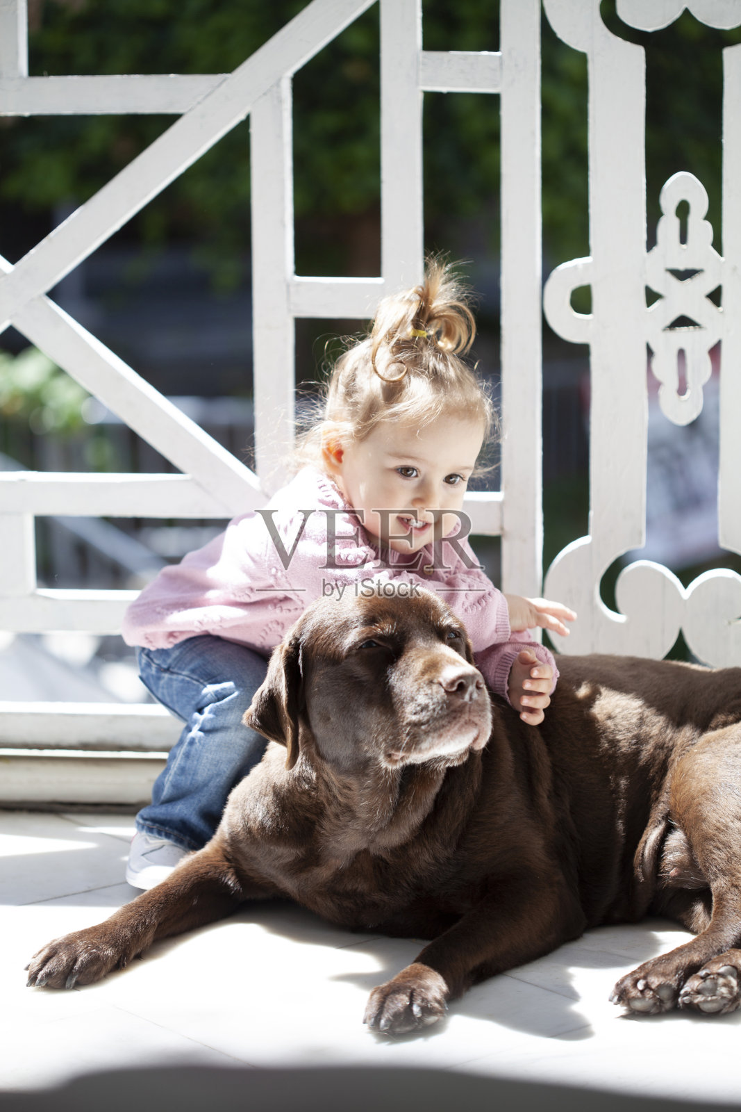 小女孩和她的拉布拉多狗玩照片摄影图片