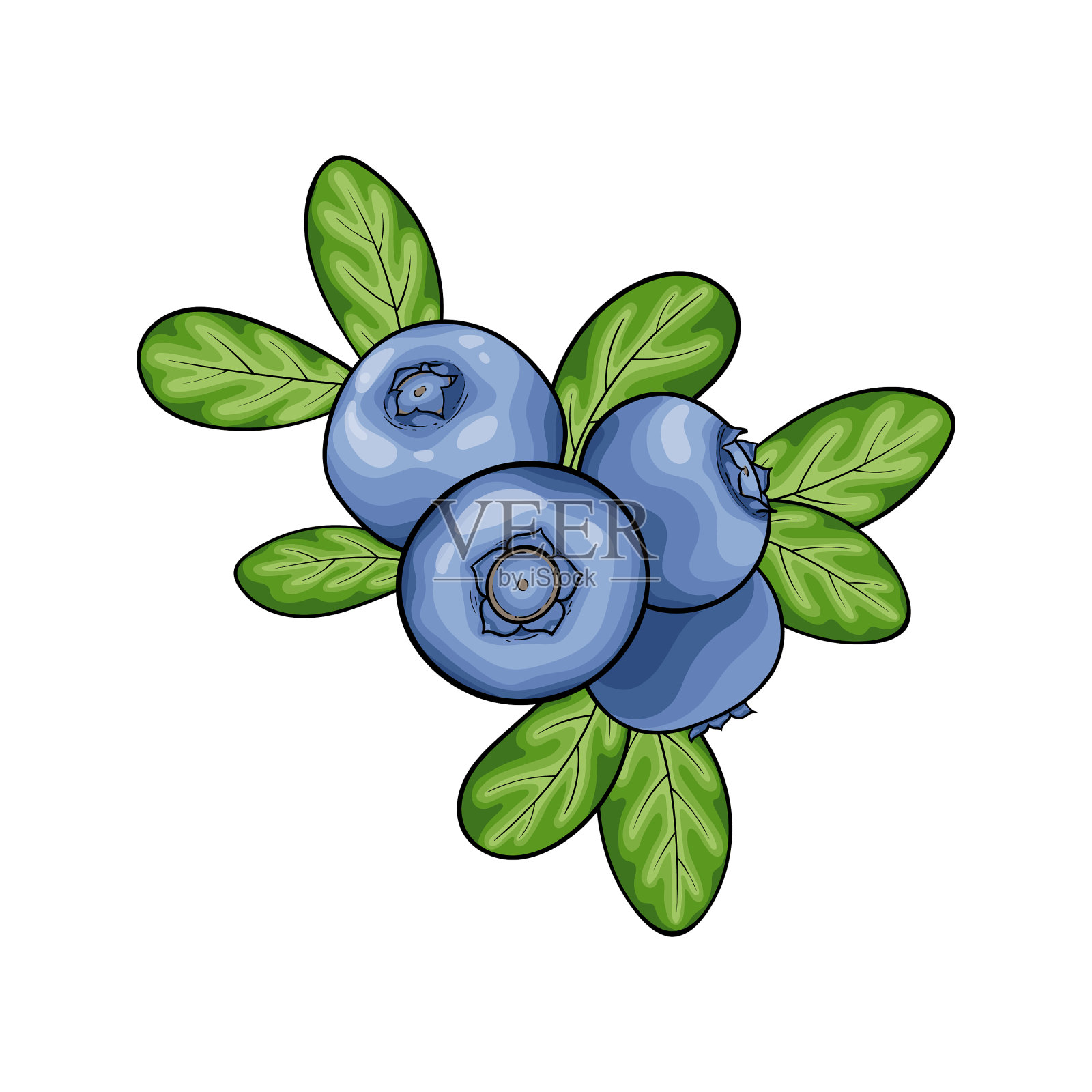 漂亮的卡通红蓝莓与黑色轮廓设计元素图片