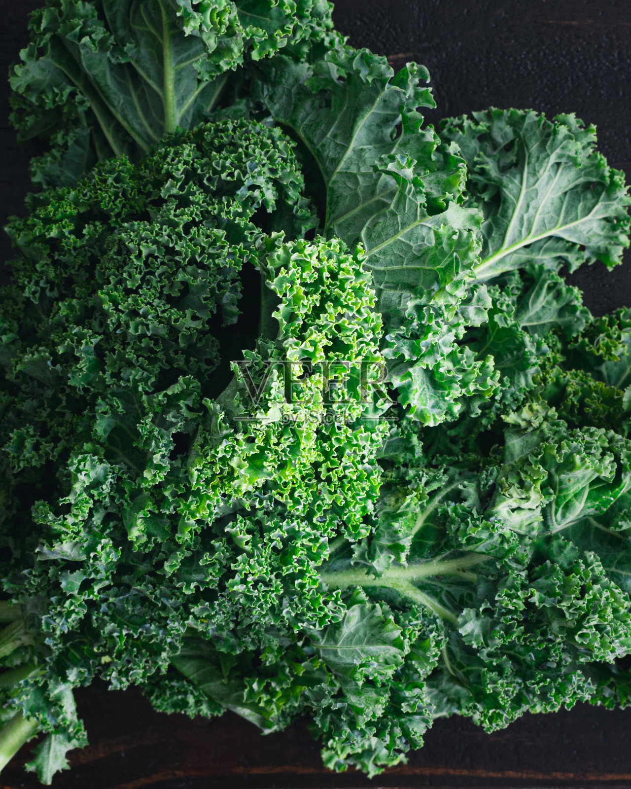 近距离观看卷曲的羽衣甘蓝叶照片摄影图片