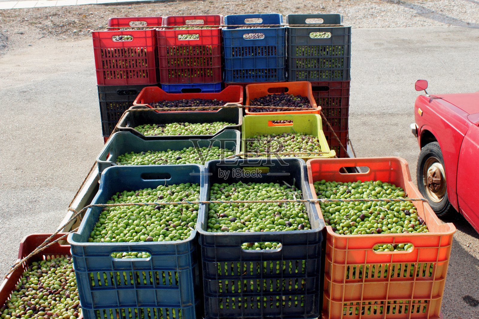 希腊橄榄从卡车卸到压料斗照片摄影图片