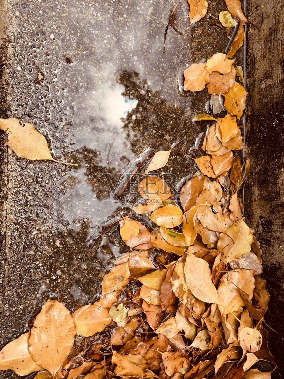 雨停了!照片摄影图片