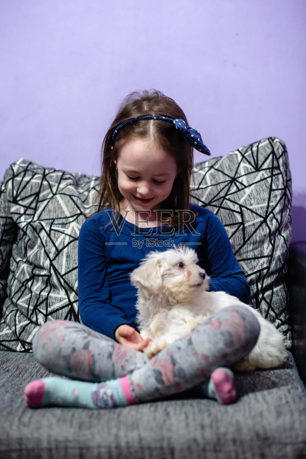 小女孩抱着白色的小狗照片摄影图片