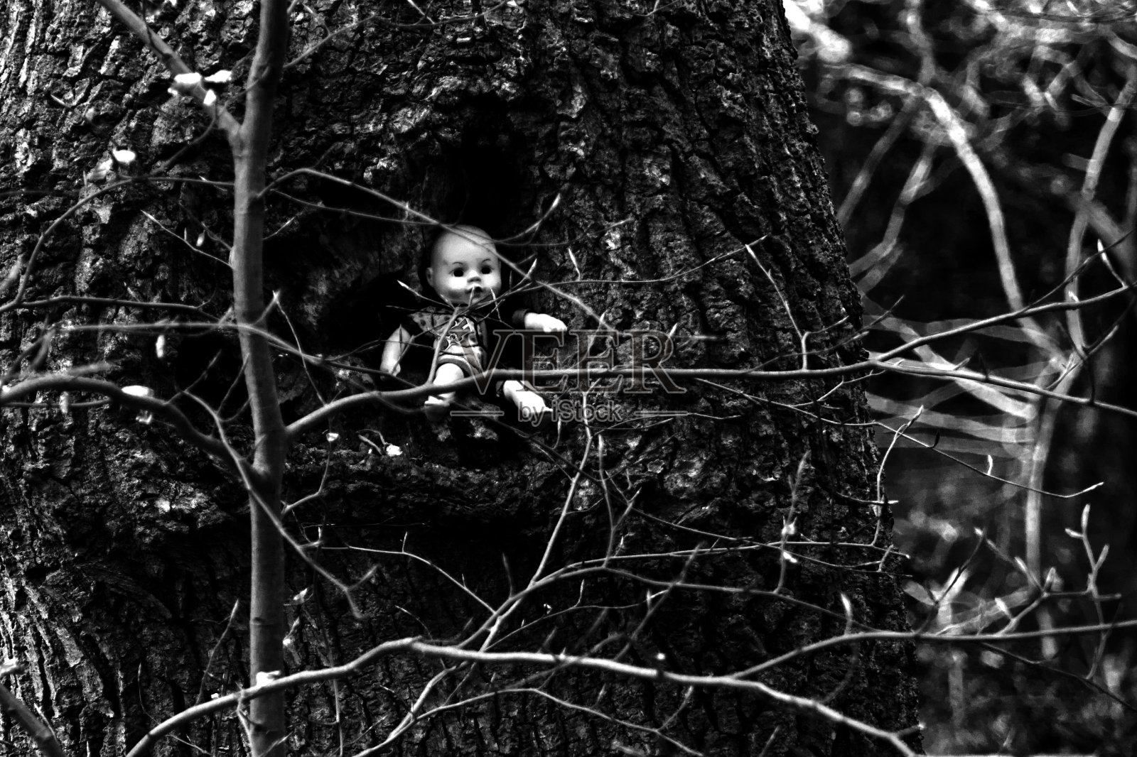 废弃的娃娃照片摄影图片