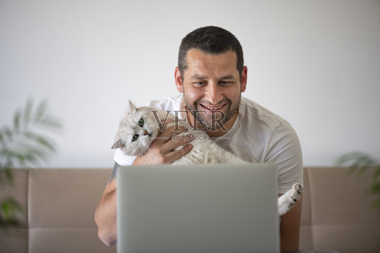 一名男子正在和他的猫视频通话照片摄影图片