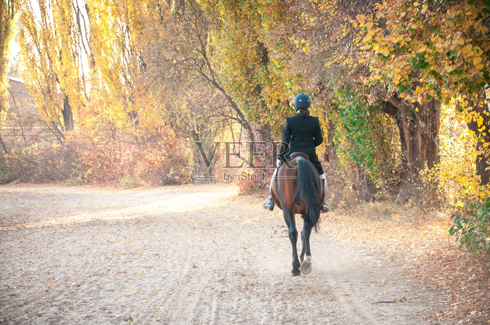 美丽微笑的女孩骑师站在她的棕色马穿着特别照片摄影图片