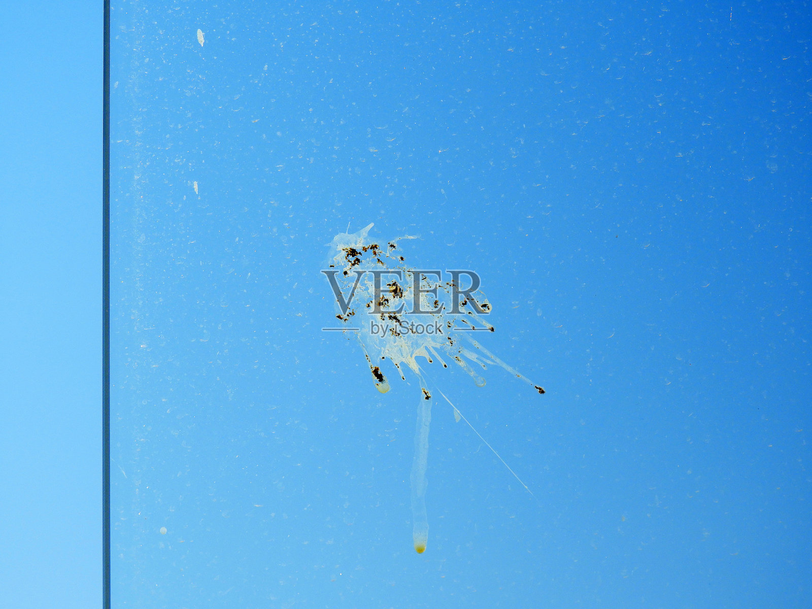 鸟屎在阳台玻璃上，鸟屎在玻璃上，脏阳台玻璃，照片摄影图片