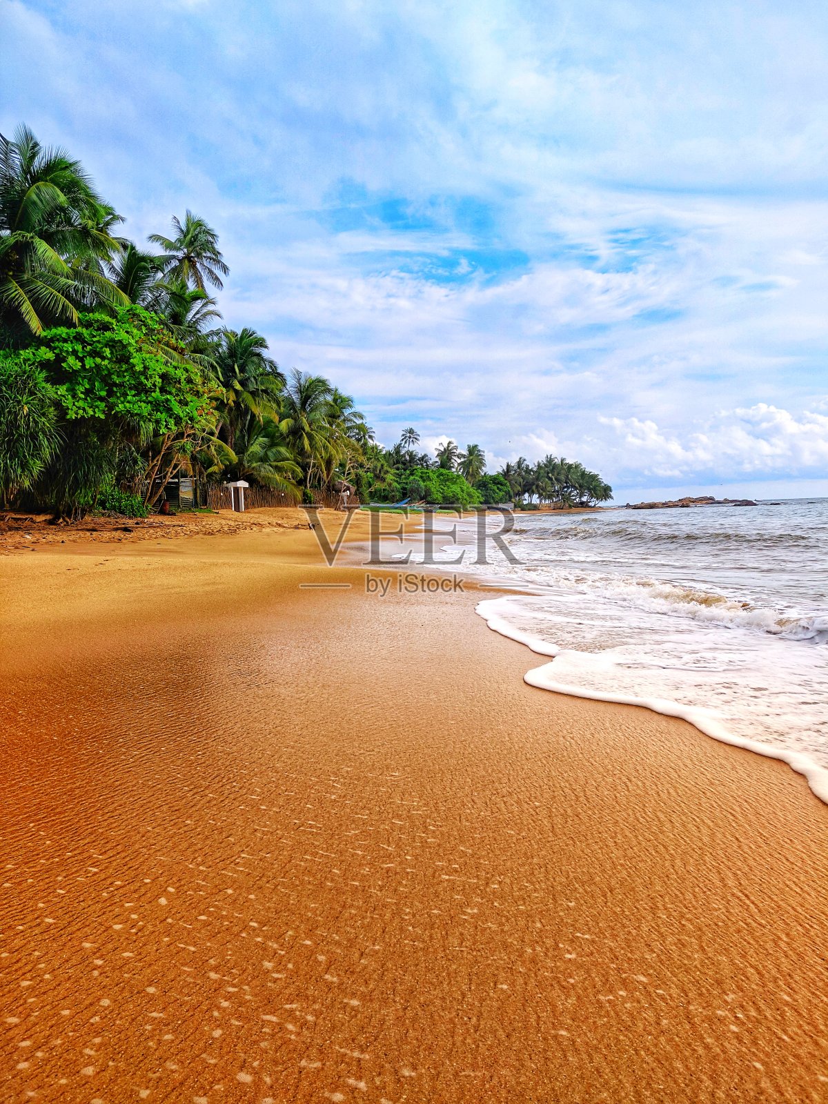 热带国家的金色沙滩照片摄影图片