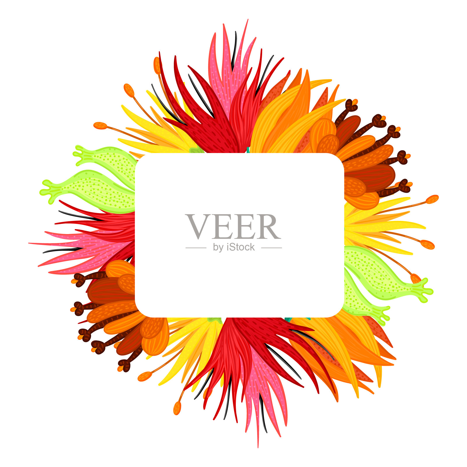 框架与美丽的彩色花朵。有斑点的花瓣。手绘的植物。插花艺术插画图片素材