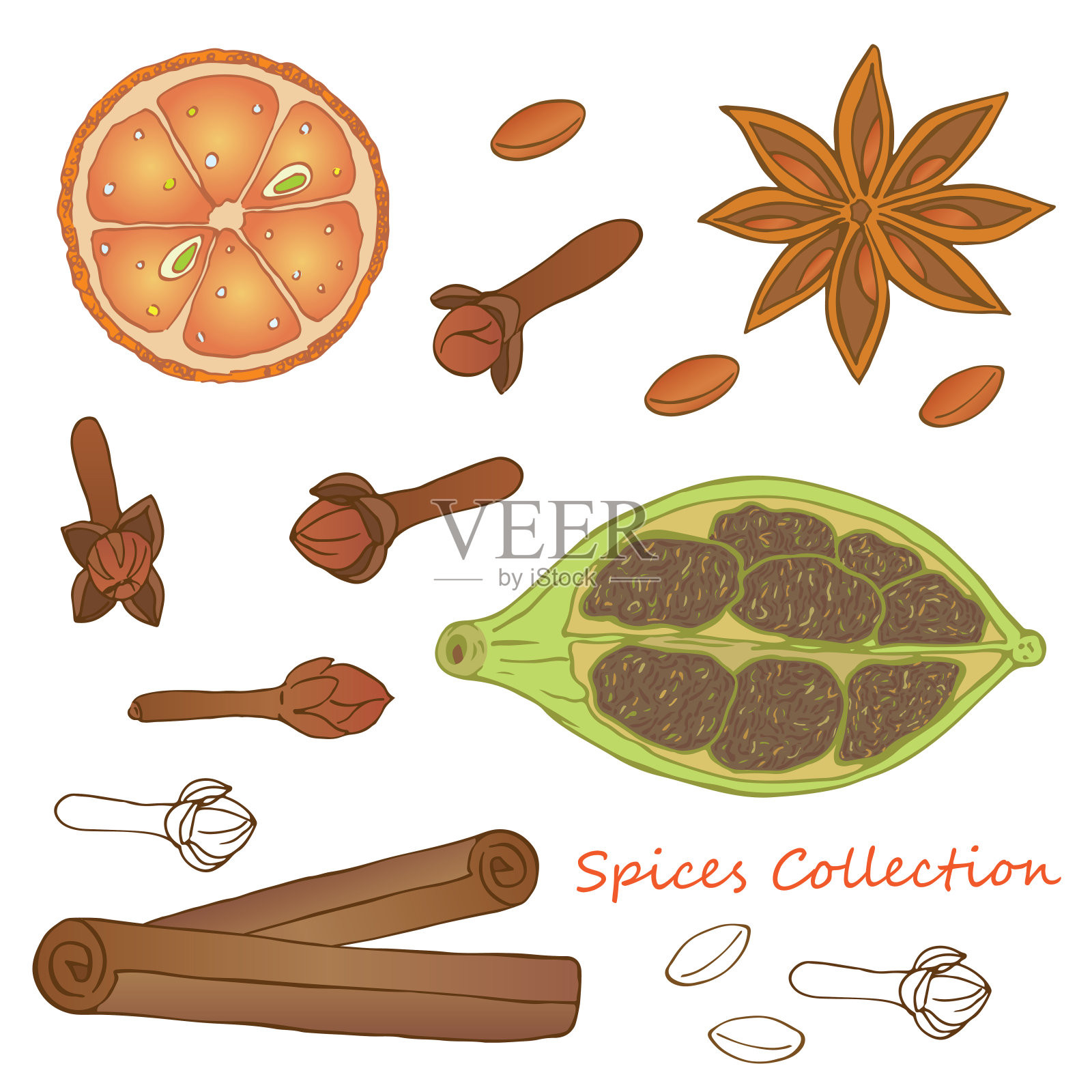 橙色，丁香，小豆蔻，肉桂和八角插画图片素材