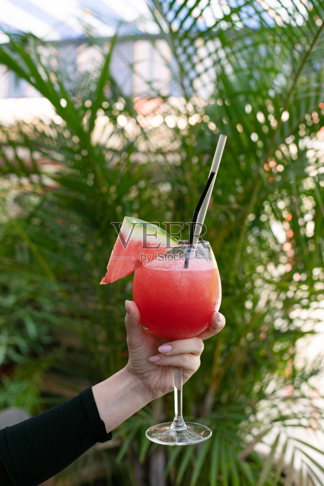 一杯新鲜的西瓜汁。用西瓜片装饰在一根棍子上。一个女人的手拿着一个透明的玻璃杯。背景是绿色的棕榈树。夏天的健康食品和素食。照片摄影图片