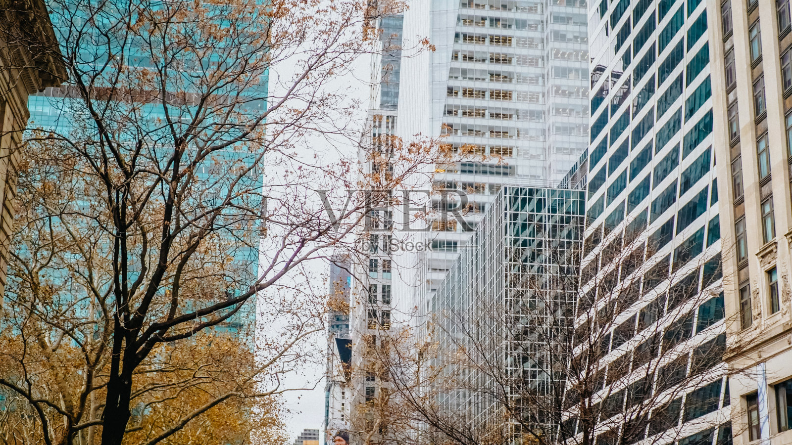 曼哈顿的现代摩天大楼照片摄影图片