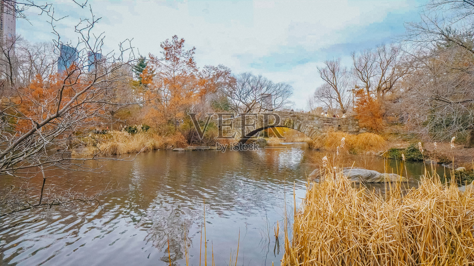 冬日里中央公园里浪漫的湖照片摄影图片