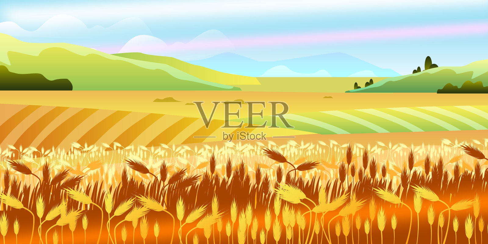 秋天的田园风光有麦田、小山、天空、云彩。插画图片素材