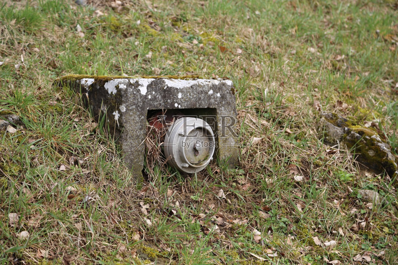 草丛中的消防栓照片摄影图片