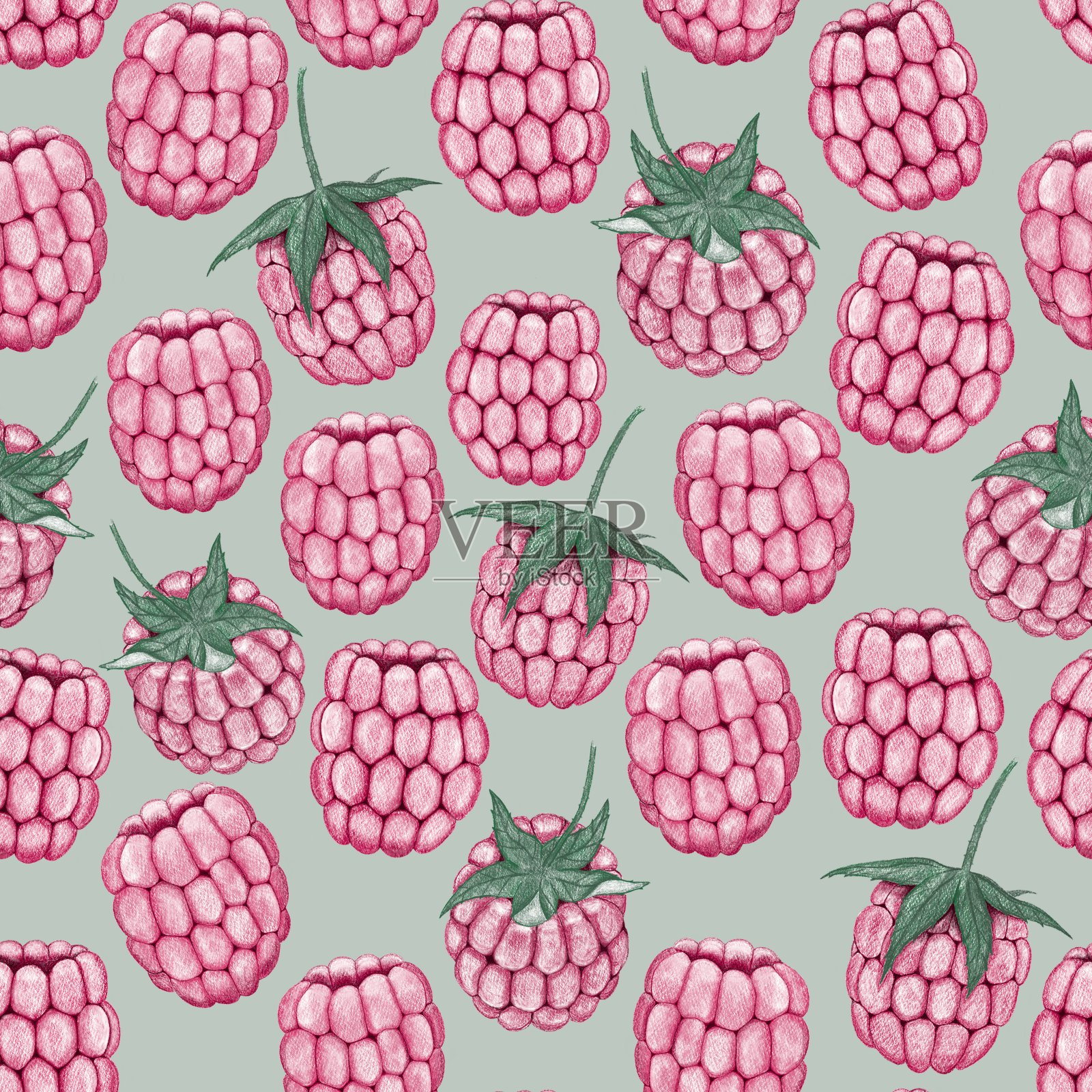 模式与树莓插画图片素材