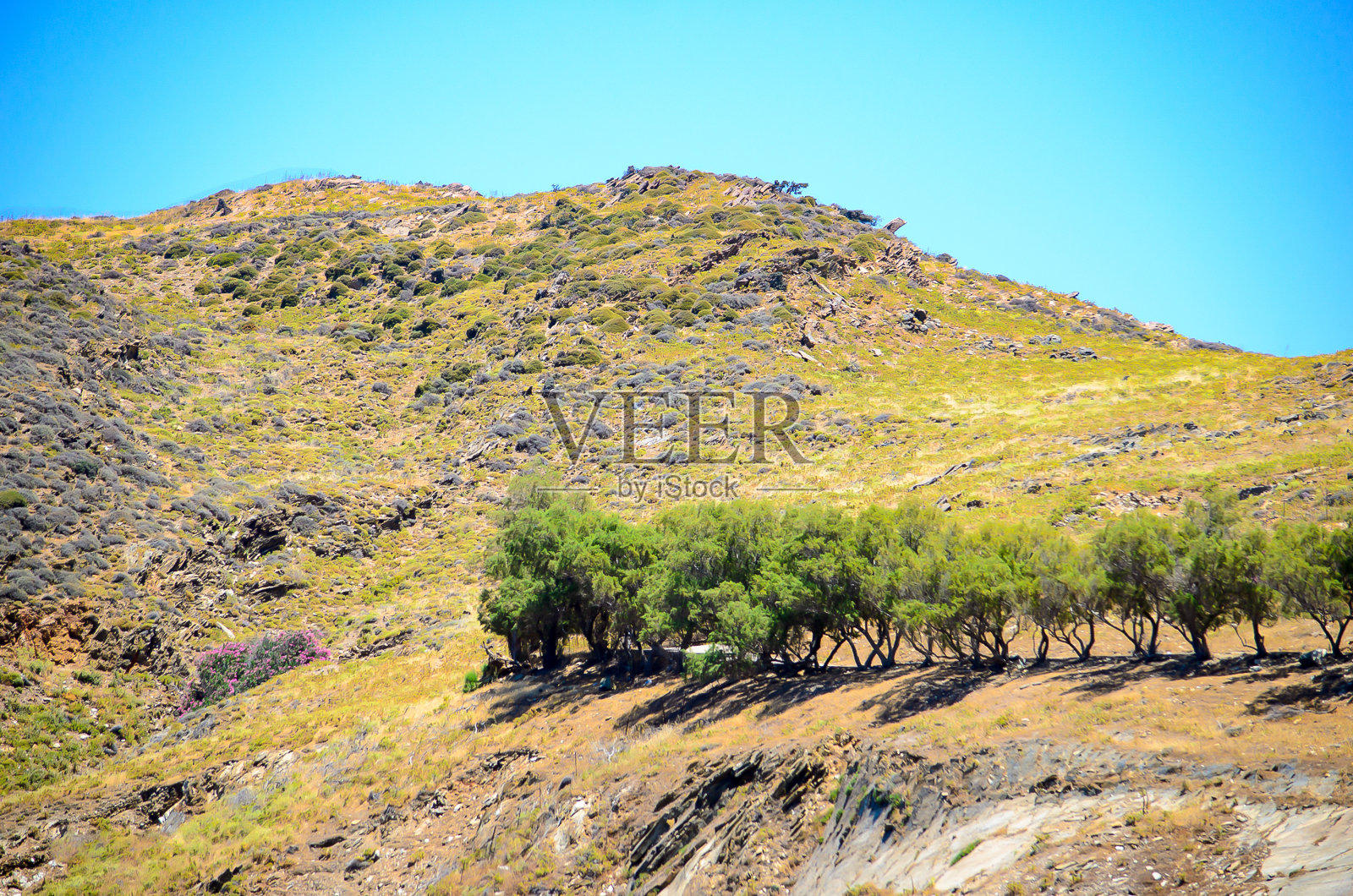 希腊海岸。照片摄影图片