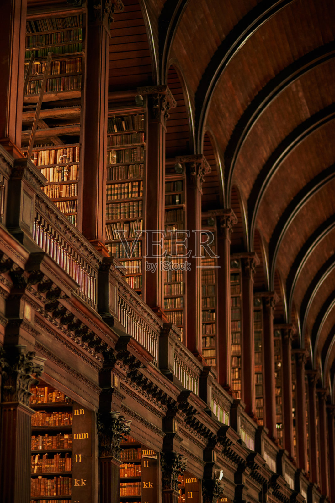 一排排的书照片摄影图片