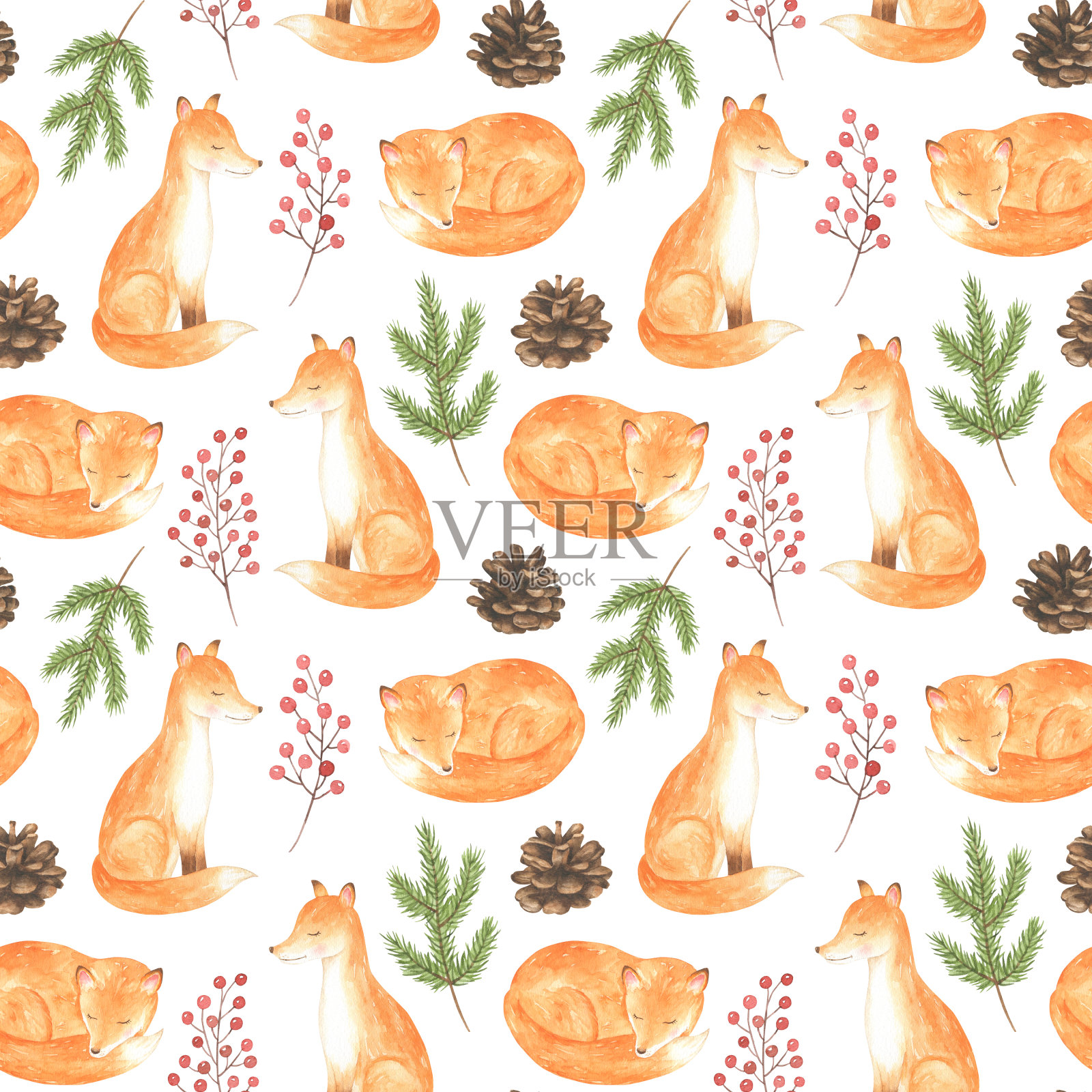 狐狸和冷杉的树枝图案插画图片素材