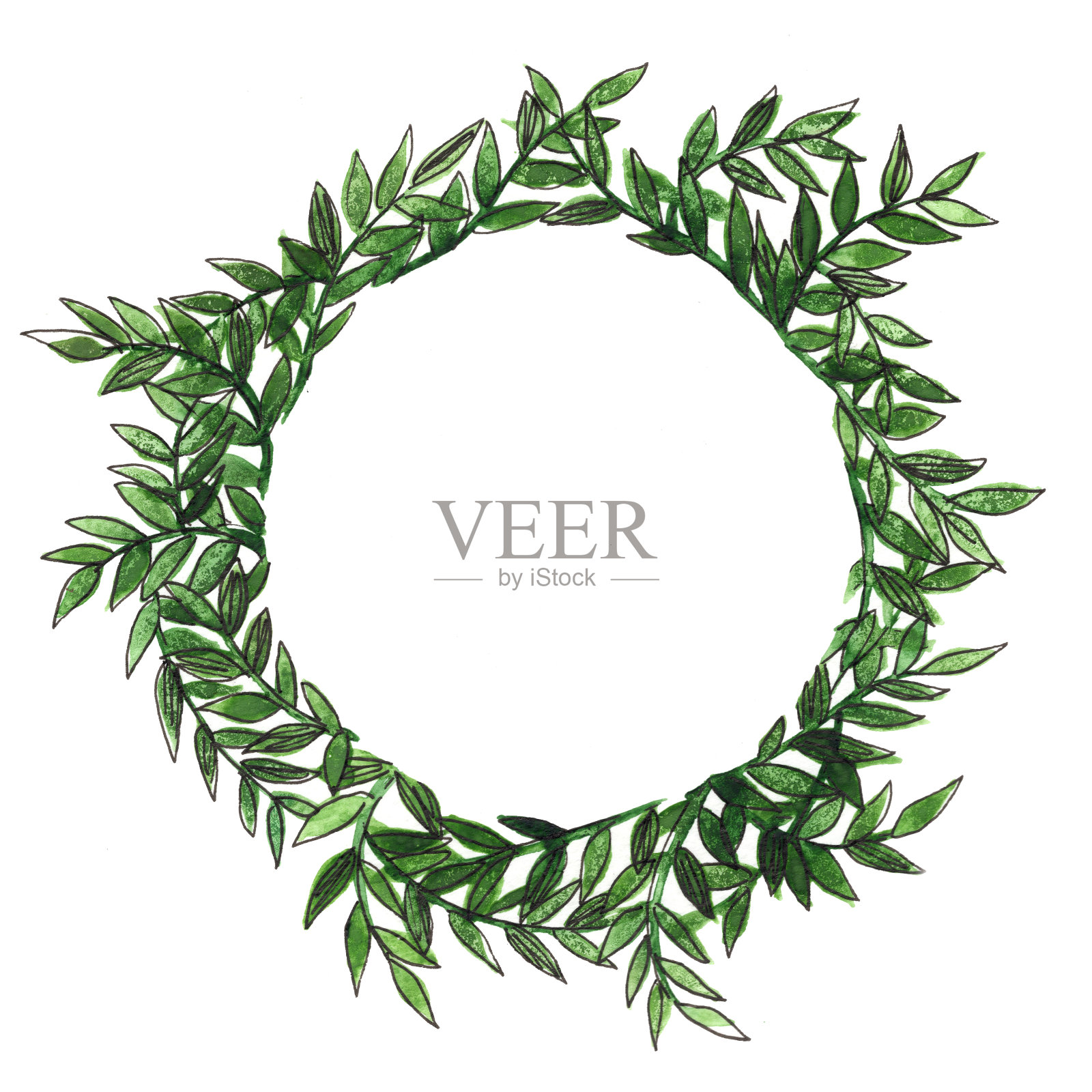 蕨林花环在圈框架水彩手绘。插画图片素材