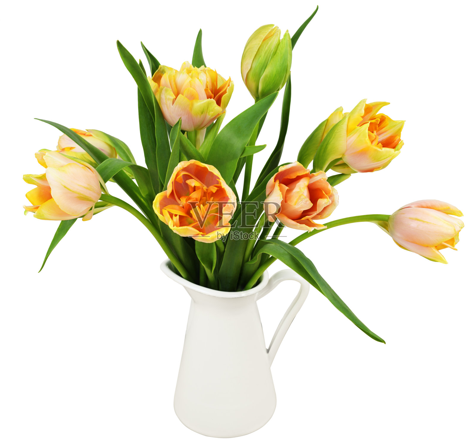 白色罐子里开着黄色和橙色的郁金香花照片摄影图片